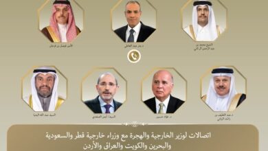 وزير الخارجية والهجرة الدكتور بدر عبد العاطي