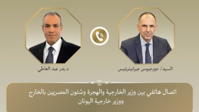 الدكتور بدر عبد العاطى، وزير الخارجية