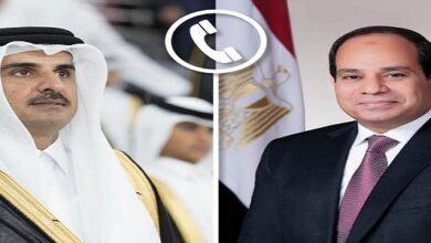 الرئيس السيسي وأمير قطر