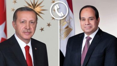 الرئيسان السيسى وأردوغان