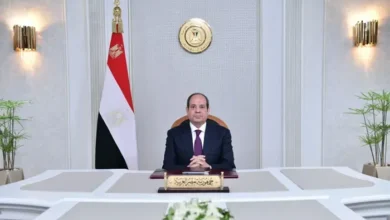 السيسي