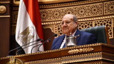 المستشار عبد الوهاب عبد الرازق، رئيس مجلس الشيوخ
