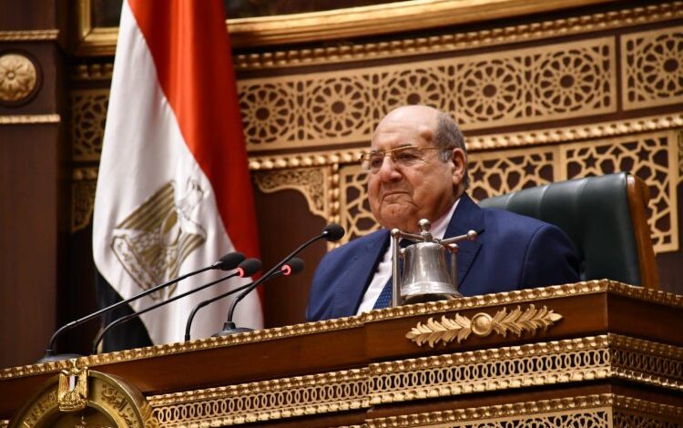 المستشار عبد الوهاب عبد الرازق، رئيس مجلس الشيوخ