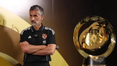 ريبييرو