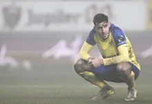 زين الدين بلعيد