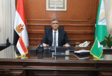 المهندس عادل النجار محافظ الجيزة
