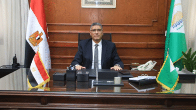 المهندس عادل النجار محافظ الجيزة